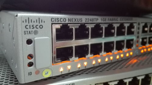 網絡工程畢業生的職業圖鑒 他們在哪里，后悔了嗎？